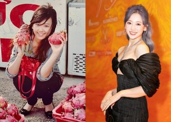 Tiểu sử ca sĩ Hari Won