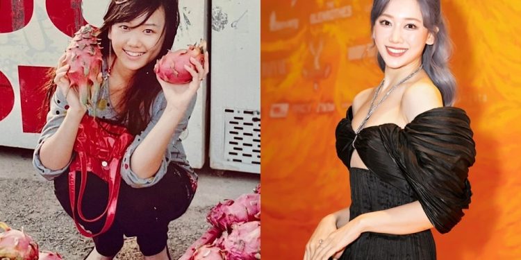 Tiểu sử ca sĩ Hari Won