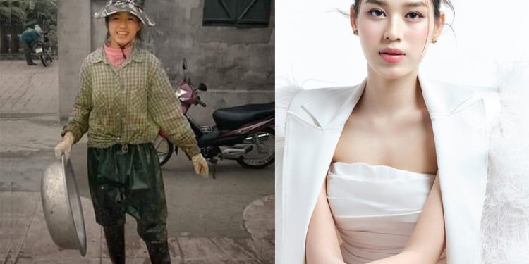 Tiểu sử Hoa hậu VN 2020 Đỗ Thị Hà